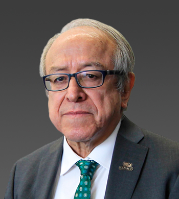 Ricardo Octavio Arturo Mota Palomino