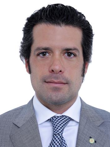 Guilherme Mussi Ferreira
