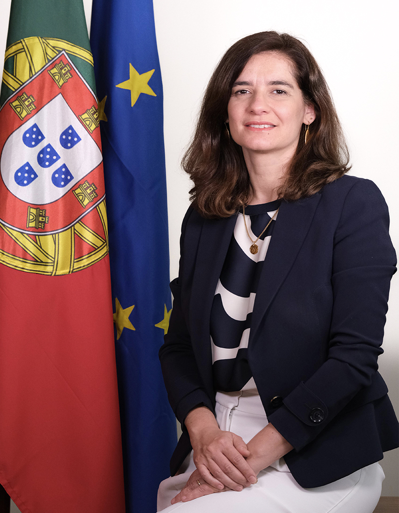 Inês Carmelo Rosa Calado Lopes Domingos