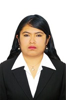 Ibeth Noemi Holgado Condori