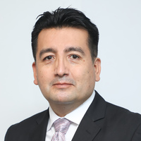 José Luis Castro Ullilen
