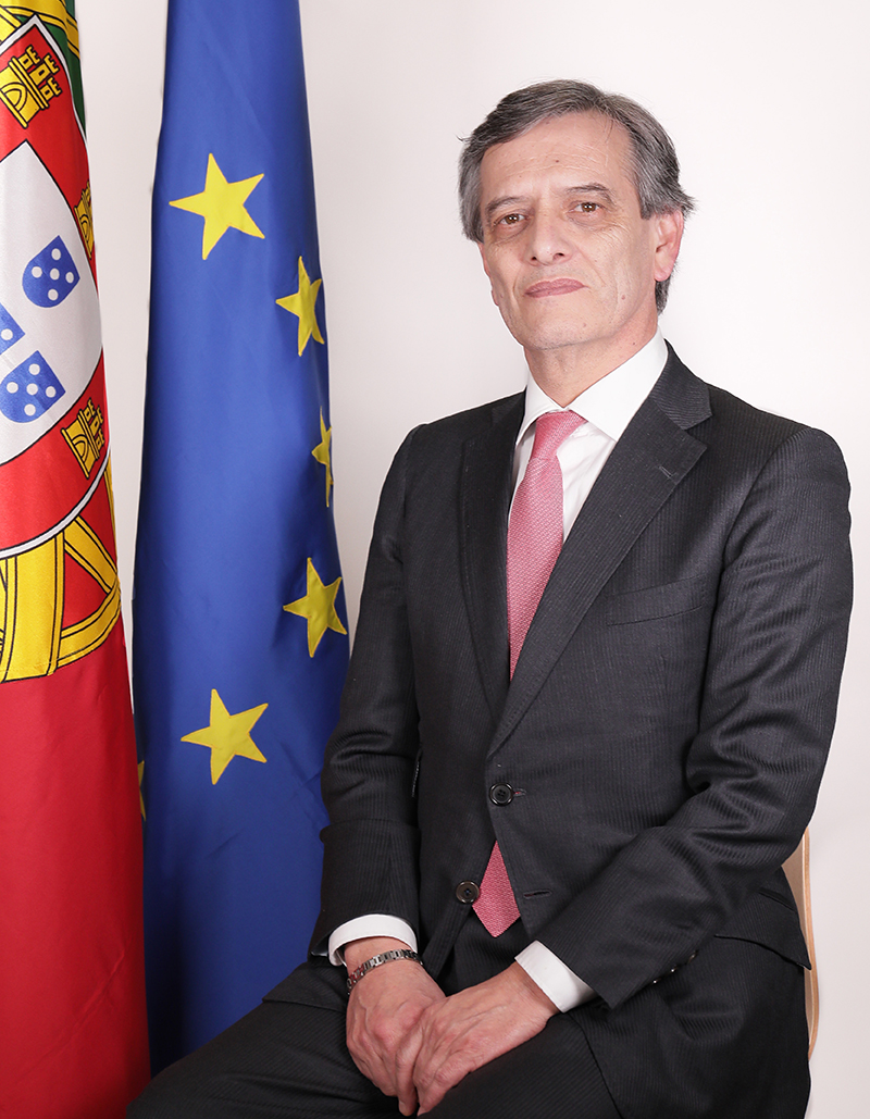 álvaro António Magalhães Ferrão De Castello-Branco