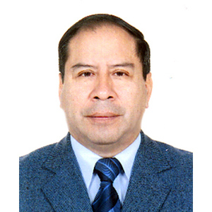 Luis Alfonso Meza Santibañez