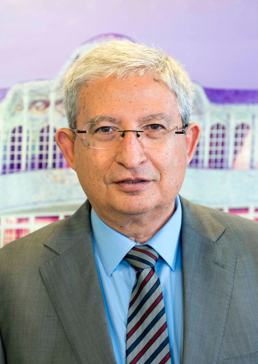 Manuel Molina Boix