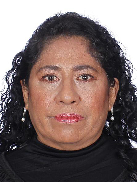 María Del Rosario Merlín García