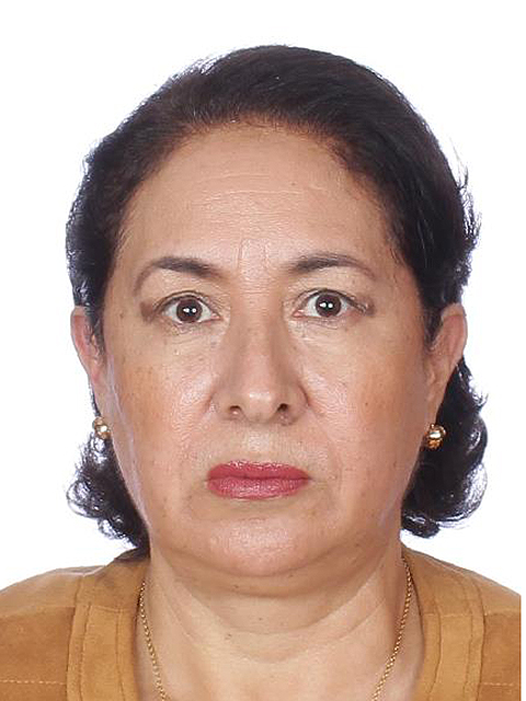 Socorro Irma Andazola Gómez