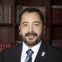 Amisadai Manuel Castorena Romo