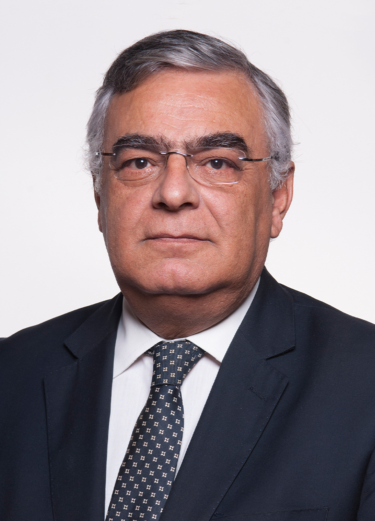 José Manuel Marques De Matos Rosa
