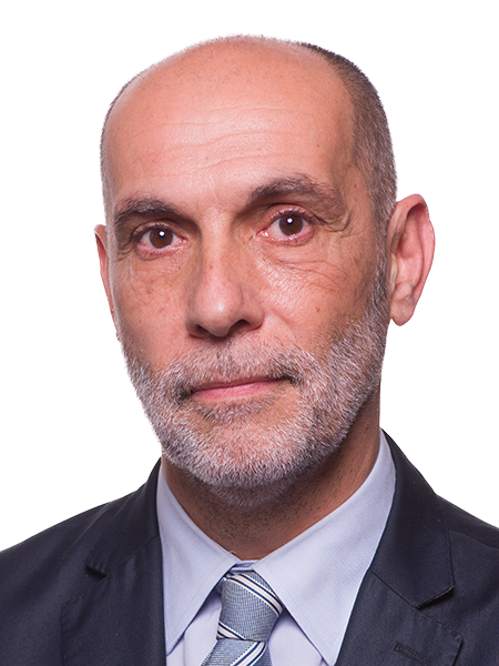 Pedro Manuel De Andrade Pessanha Fernandes
