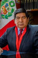 Miguel Jhonny Huamaní Chavez