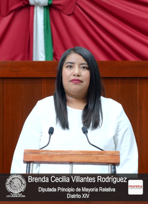 Brenda Cecilia Villantes Rodríguez