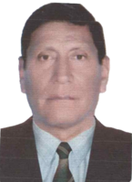 Juan Jj Palomino Mendoza