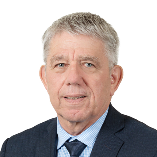 Michel Savin