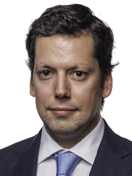 Carlos Eduardo Vasconcelos Fernandes Ribeiro Dos Reis
