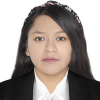 Bethy Andy Mamani Villalba