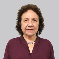 María Isabel Remy Simatovic