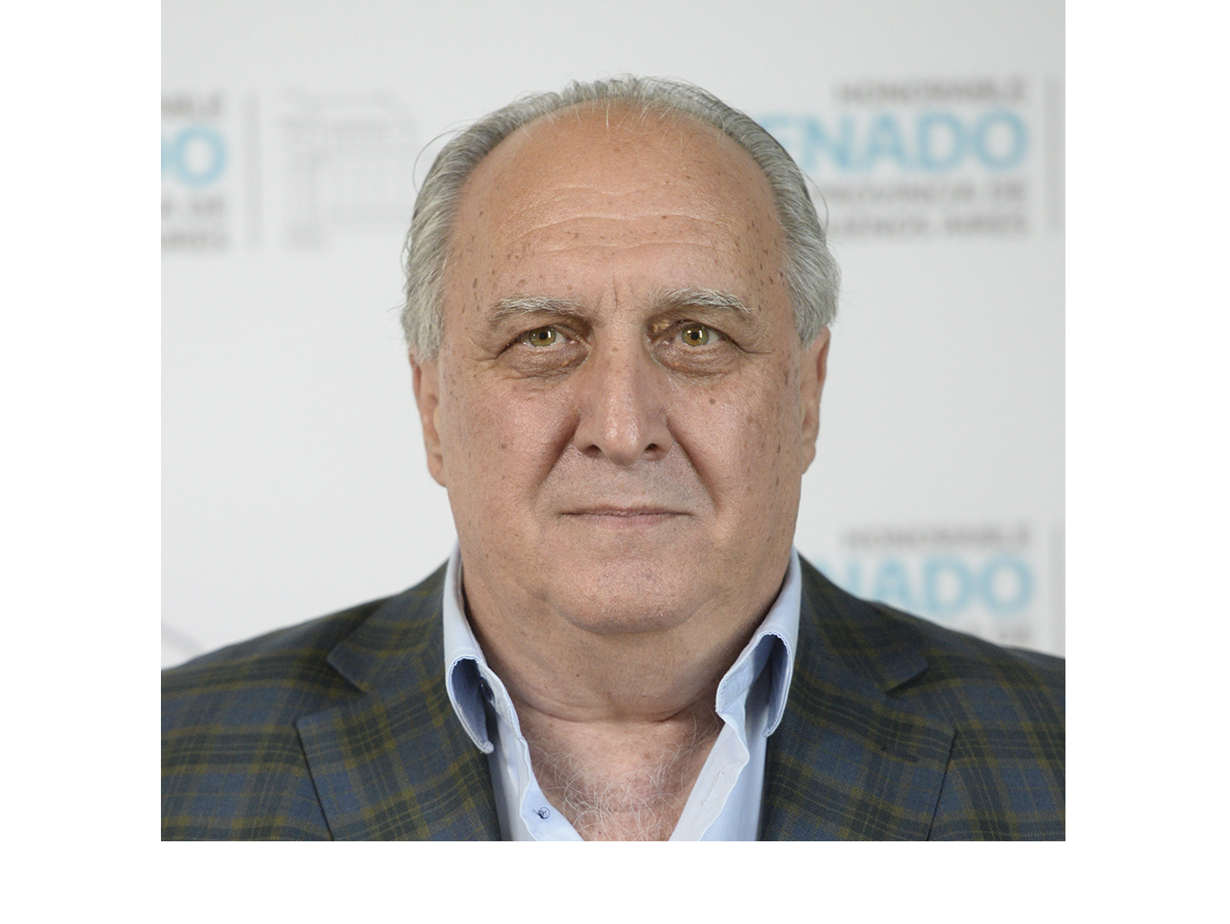 Pedro Francisco Borgini