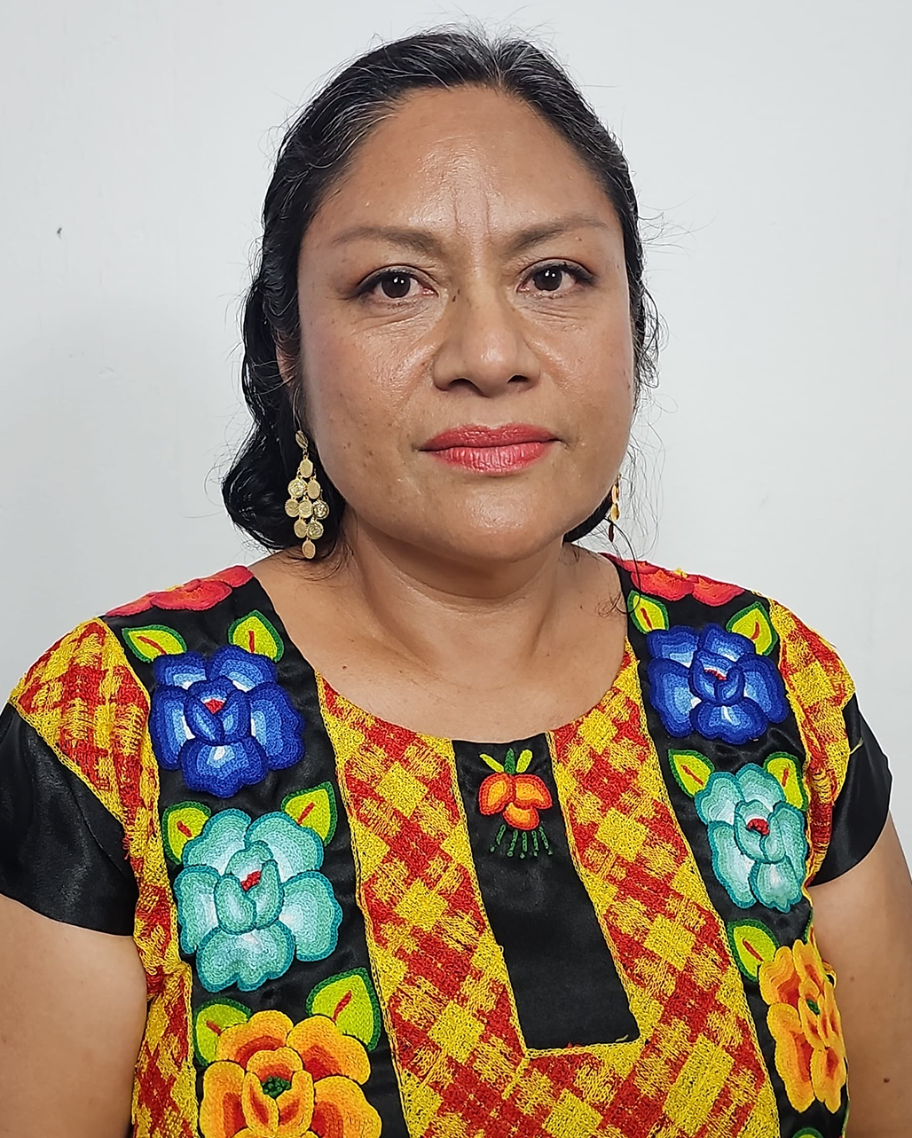 Irma Pineda Santiago