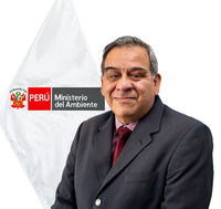 David Ricardo Solano Cornejo
