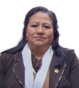 Mercedes Georgina Chuquipuima Ricse