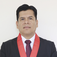 David Fernando Correa Castro