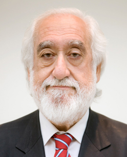 Josep Maldonado I Gili
