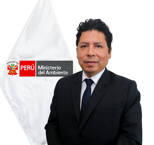 Jesús Fernando Villegas Samanez