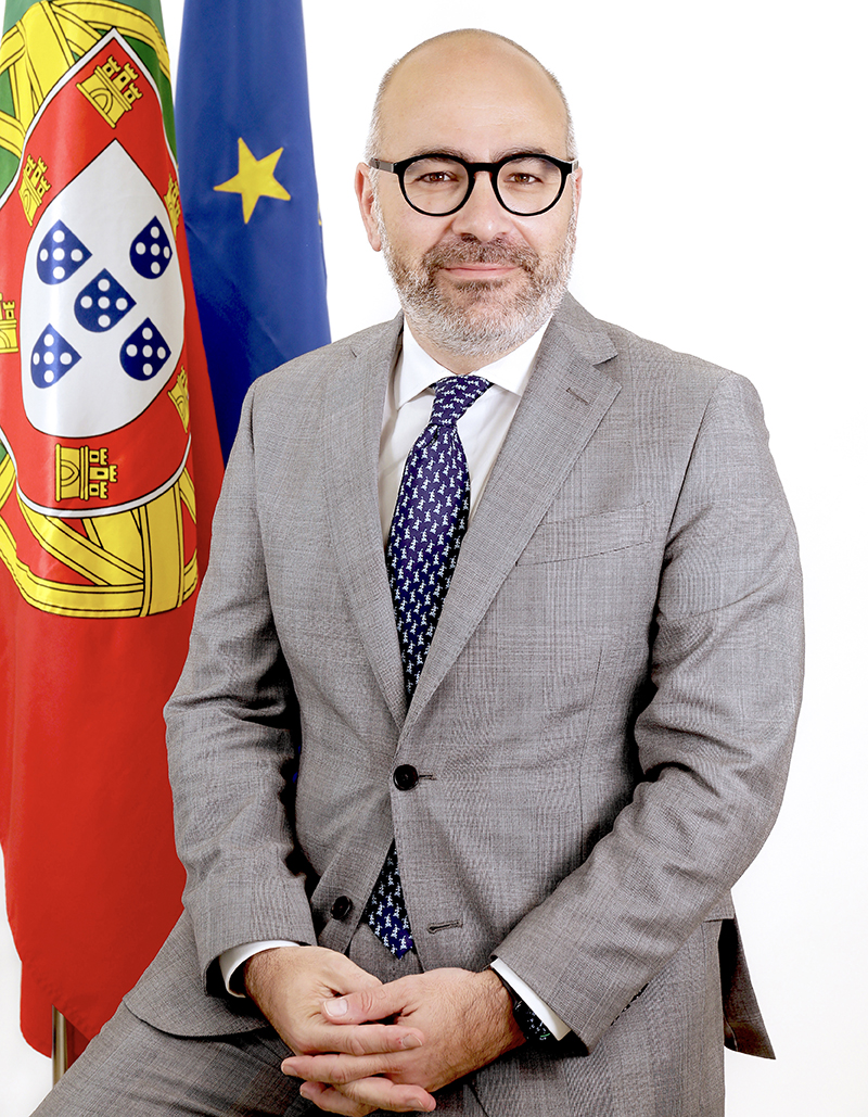 Miguel Martinez De Castro Pinto Luz