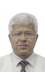 Vicente Jarama Chota