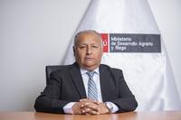 Mirco Henrry Miranda Sotil