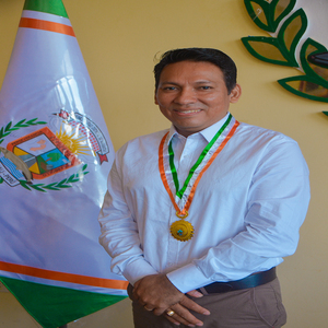 Daivis Nicolas Angles Paredes