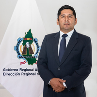 Nilson Molocho Estela