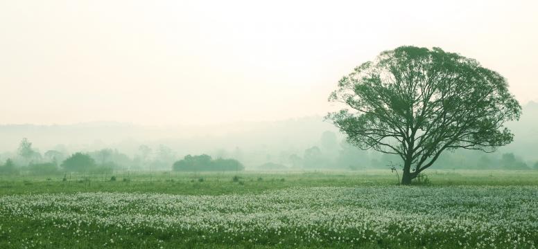 Ausschuss Für Umwelt, Klimaschutz, Landwirtschaft Und Verbraucherschutz - Anhörung Zum Wassergesetz