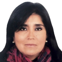 Virginia Emilia Leiva Ale