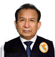 Mario Federico Mendoza Gavilano