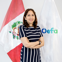 Sandra Astrid Choquesillo Santillan