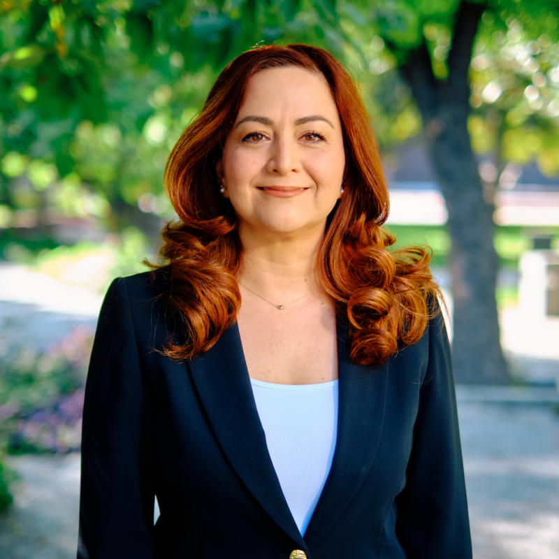Mariela Saldívar Villalobos