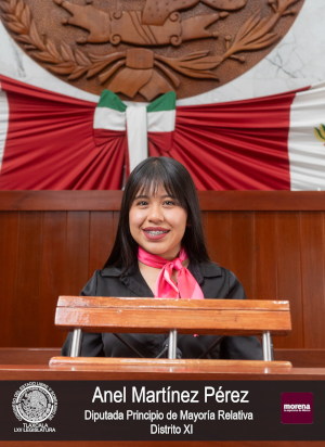 Anel Martínez Pérez