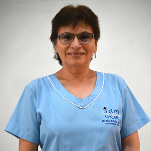 María Del Pilar Sayan Chamochumbe