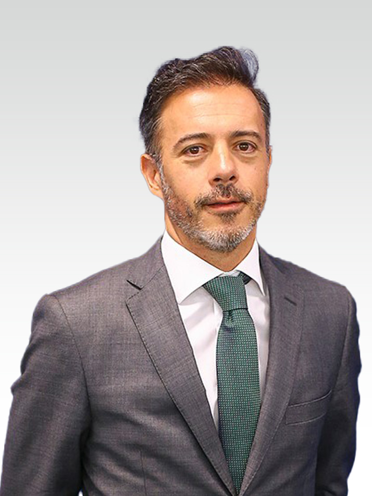 Pedro Miguel De Azeredo Duarte