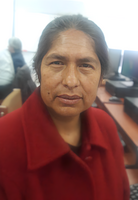 Belen Cabrera Navarrete