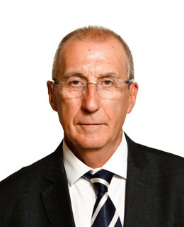 Francisco Javier Sanz Carramiñana