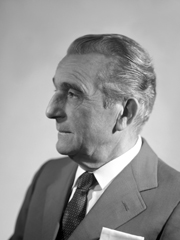 Dino Viola