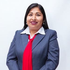 Yeny Viviana Mamani Fuentes