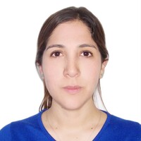 Karen Paola Yabar Pacheco