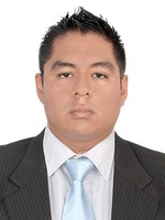 Ricardo Manuel Llanos Polanco