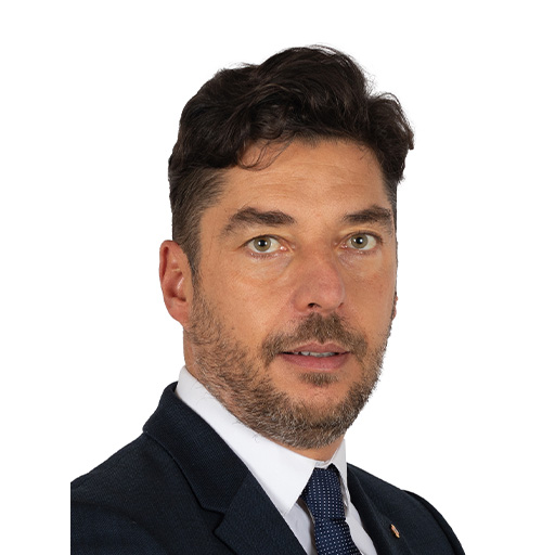 Ludovic Haye