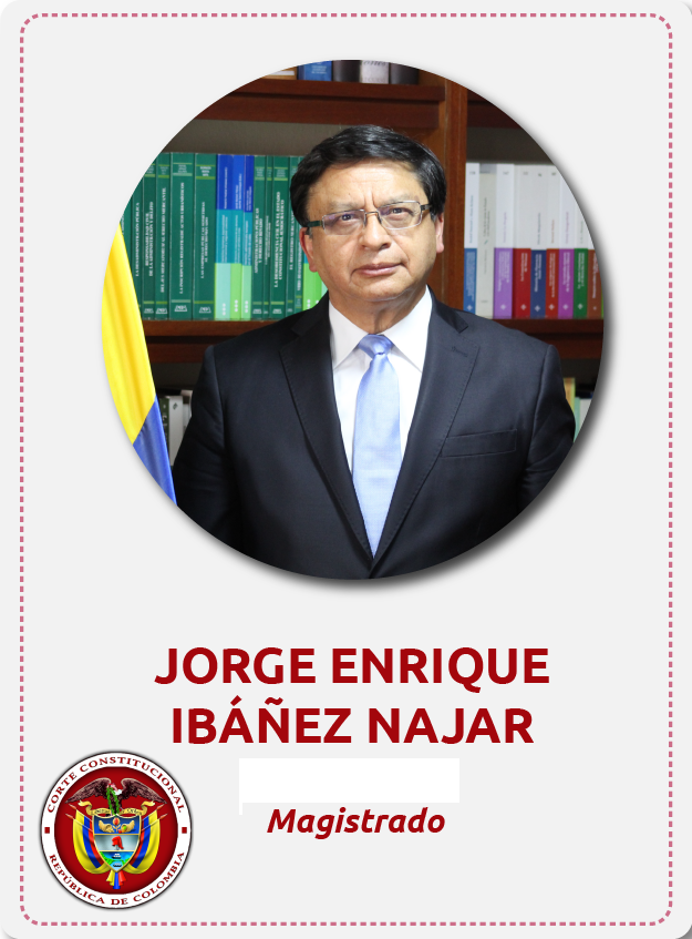 Jorge Enrique Ibañez Najar