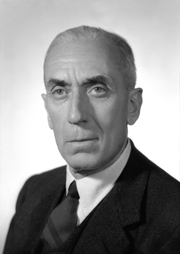 Raffaele Cadorna