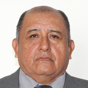 Santos Genaro Chavarry Castañeda